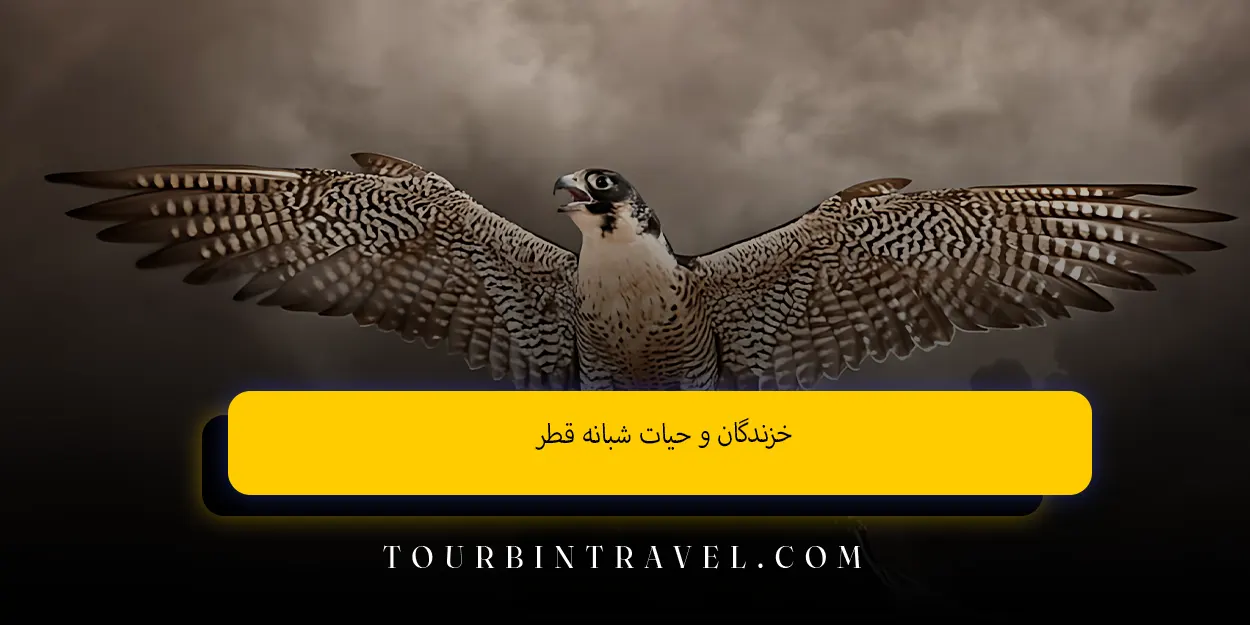 خزندگان و حیات شبانه قطر